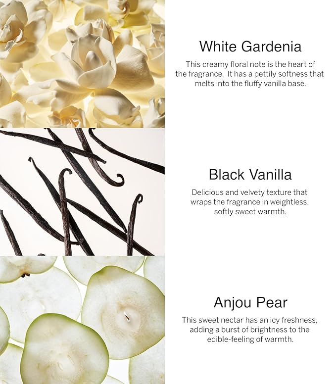 Victoria's Secret Fine Fragrance Bundle Noir Tease