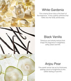 Victoria's Secret Fine Fragrance Bundle Noir Tease