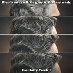 Just for Men Control GX Grey Reducing Shampoo for Textured Hair, Gradual Hair Color for Men with Keratin, 4 Fl Oz - Pack of 1 (Packaging May Vary)