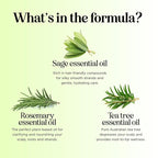 Sulfate Free Shampoo and Conditioner Set - Tea Tree Sage and Rosemary Shampoo and Conditioner for Dry Flaky Scalp Care - Deep Cleansing Color Safe Shampoo and Conditioner for Damaged Dry Hair Care