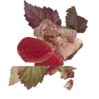 Hermes Elixir Des Merveilles Calligraphie Eau De Parfum Spray For Women, 3.4 Ounce