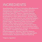 Seaweed Bath Co. Energize Body Cream - Grapefruit Orange | Hand and Body Lotion with Vitamin C, Hyaluronic Acid and Shea Butter | Invigorating Moisturizer For Dry Skin | 6 oz