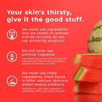 SPF 30 Antioxidant Sunscreen Body Mist, 6 oz - Lightweight, Water & Sweat Resistant, Vitamin C, Green Tea, Broad Spectrum, Vegan, Clean Ingredients, Dermatologist Tested, Non-Greasy, Made in USA