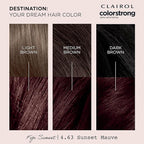 Clairol ColorStrong Permanent Zero Ammonia Hair Dye, 4.63 Sunset Mauve - Fiji Sunset Hair Color, Pack of 1