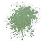 wet n wild Fantasy Makers Color Icon Loose Glitter Pigment Celtic Glow