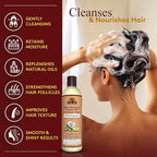 Okay Black Jamaican Castor Oil Shampoo - Natural, Moisturizing Jamaican Castor Shampoo, Strengthen & Restore Damaged Hair for Women and Men - Coconut Curls, 12 fl oz (Pack of 1)