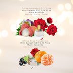 Chloe Perfume for Women Mini Variety Gift Set – 4-Piece Splash Collection