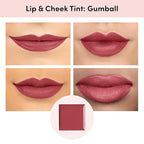 billion dollar brows Lip & Cheek Tint - Pigment