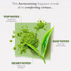 SOLINOTES Matcha Tea Perfume for Women - Eau De Parfum | Delicate Floral and Soothing Scent - Made in France - Vegan - 1.7 fl.oz