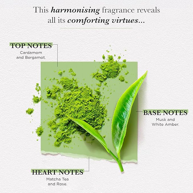 SOLINOTES Matcha Tea Perfume for Women - Eau De Parfum | Delicate Floral and Soothing Scent - Made in France - Vegan - 1.7 fl.oz