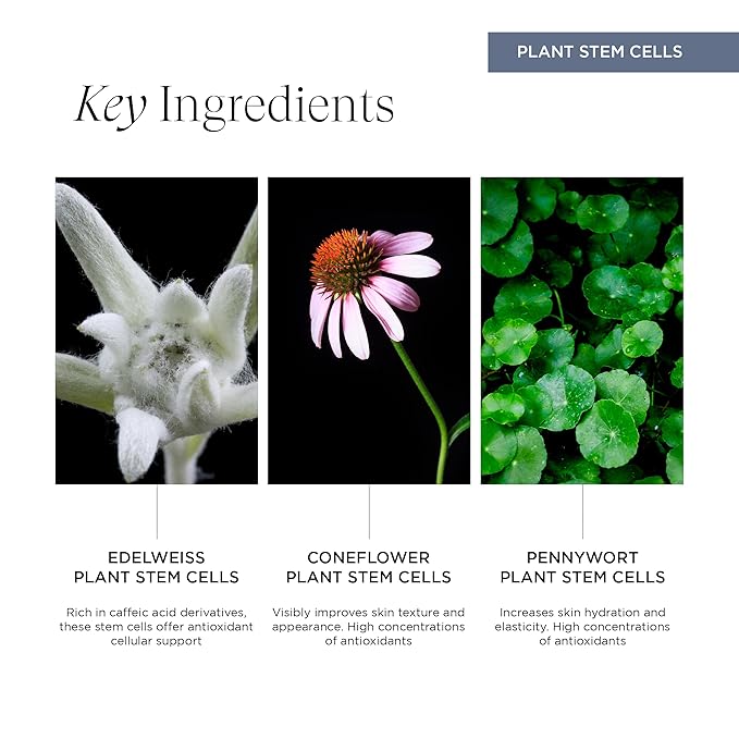 Re:generative Eye Gel, Firming Treatment for Dark Circles and Puffiness, With Plant Actives to Brighten, Refresh and Protect, 0.5 Oz