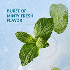 Covergirl Clean Fresh Yummy Plumper Lip Gloss, 860 Encourage-Mint, Shiny, Vegan Formula, Easy to Apply, Minty Flavor, 0.33oz