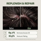 LAPCOS DR.14 REVITALIZING SCALP CARE SHAMPOO