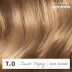 Clairol ColorStrong Permanent Zero Ammonia Hair Dye, 7.0 Dark Blonde - Saint-Tropez Hair Color, Pack of 1