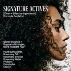 Nécessaire Rosemary Shampoo | Multi-Protien Strengthening Cleanse For Thinning Hair. For Women + Men. Good For All Hair Types/Textures. Free Of Sulfates. Color-Safe. 250 ml / 8.4 oz