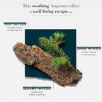 SOLINOTES Cedarwood Perfume for Men - Eau De Parfum | Refined Woody and Soothing Fragrance - Made in France - Vegan - 1.7 fl.oz