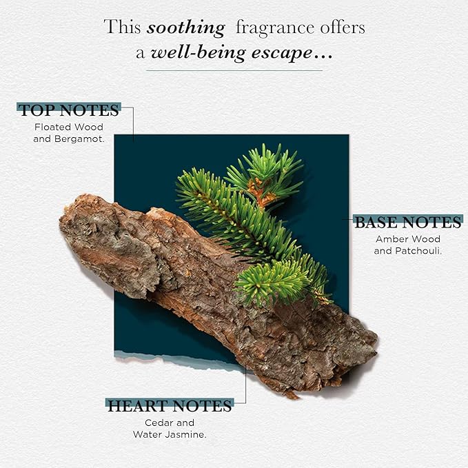 SOLINOTES Cedarwood Perfume for Men - Eau De Parfum | Refined Woody and Soothing Fragrance - Made in France - Vegan - 1.7 fl.oz