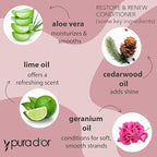 PURA D'OR Restore & Renew Shampoo and Conditioner Set for Strong, Healthy, and Nourished Hair with Organic Aloe Vera, Rosemary, Sea Buckthorn, Cacay, Coconut, Seaberry & Cedarwood