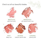 Honeybee Gardens Complexion Perfecting Blush in Tea Rose, Medium Spiced Peach, Vegan & Gluten-Free, 8.5g