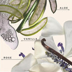 Carol's Daughter Black Vanilla Moisture Sulfate Free Shampoo for Curly, Wavy or Natural Hair, Moisturizing Hair Care for Dry, Damaged Hair, 12 Fl Oz