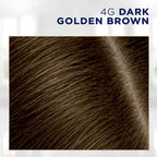 Clairol Root Touch-Up by Nice'n Easy Permanent Hair Dye, 4G Dark Golden Brown Hair Color, Pack of 4