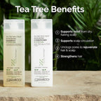GIOVANNI Tea Tree Triple Treat Invigorating Shampoo & Conditioner Set - Cooling Peppermint, Eucalyptus, Rosemary, Helps Dry, Flaky Scalp, Salon Quality, Vegan, Cruelty Free - 8.5 oz Each
