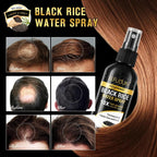 (3Pc) Organic Black Rice Water Spray for Hair Growth, A Solution with Castor Oil & Ginger Root Extract for Thicker, Fuller Hair, Targets Hair Loss and Repairs Damage 300ml/9.6 fl.oz