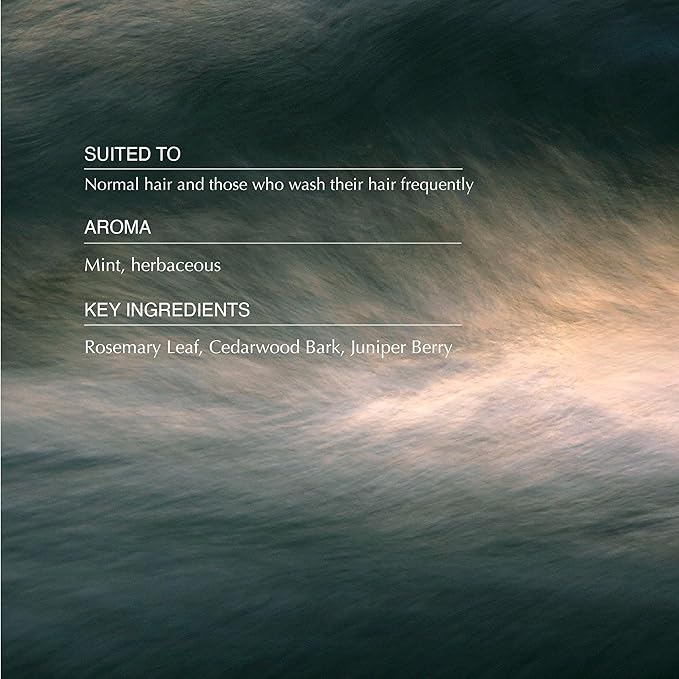 Aesop Classic Shampoo | Gentle Formulation | Leaves Hair Shiny, Soft, Freshened | Rosemary Leaf, Cedarwood Bark, Juniper Berry | 16.9 oz / 500mL