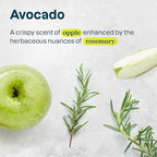 ATTITUDE Hair Shampoo for Sensitive Dry Scalp, EWG Verified, Soothing Oat, Dry and Damaged Hair, Naturally Derived Ingredients, Vegan and Plant-Based, Nourishing, Avocado Oil, 16 Fl Oz