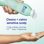 Head & Shoulders BARE Dandruff Shampoo Twin Pack, Fragrance-Free, Sensitive Scalp Care, Sulfate-Free, Silicone-Free, Dye-Free, Eco-Friendly Bottles, Safe for All Hair Types, 13.5 Fl Oz Each (Set of 2)