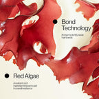 EVA·NYC Repair Ritual Strength Shampoo 10 Fl Oz (Pack of 1)