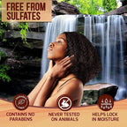 Moroccan Argan Oil Shampoo - Sulfate SLS Paraben Free Moisturizing Treatment for Women and Men - For All Types Including Curly, Dry, Damaged and Oily Hair - Hydrating and Nourishing - Salon Grade