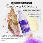 EVANYC Tone It Down Blonde Hair Shampoo, 1 L, Purple for Eliminating Brass & Yellow Tones, Vegan