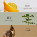 Patchouli Garden Damage Repair Shampoo - Korean Hair Care Nourishing Shampoo for Men & Women w/Patchouli Leaf Water, Protein Complex & Green Herb Complex - Vegan Scalp Cleanser (15.22 fl.oz)