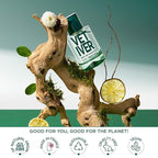 SOLINOTES Vetiver Perfume for Men - Eau De Parfum | Bold and Sensual Adventure - Made in France - Vegan - 1.7 fl.oz