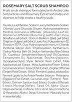 AROMATICA Rosemary Salt Scrub Shampoo - Hair Loss Korean Scalp Detox Shampoo with Rosemary Scalp Oil | Scalp Exfoliator with Salt Scrub for Oily Scalp | Sulfate Free, Silicone Free (10.5 oz / 300g)