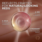 L’Oreal Paris Excellence Universal Nudes Permanent Hair Color, Ammonia Free Hair Dye for Gray Hair Coverage, 4NR Natural Dark Red, 1 Hair Dye Kit