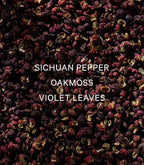 Victoria's Secret VS Him Platinum Men's Cologne (3.4 oz)