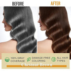 Hair Dye Shampoo 3-in-1: Instant Hair Color Shampoo for Gray Hair - Ideal for Women & Men, Long-Lasting Dye Shampoo for Color Treated Hair, Champu Para Canas, Easy to Use, 500 Ml (Chestnut Brown)