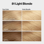 Revlon ColorSilk with Bond Repair Complex, Blonde Permanent Hair Color, 100% Gray Coverage, Ammonia Free Hair Dye, Vegan Keratin, 81 Light Blonde (Pack of 3)