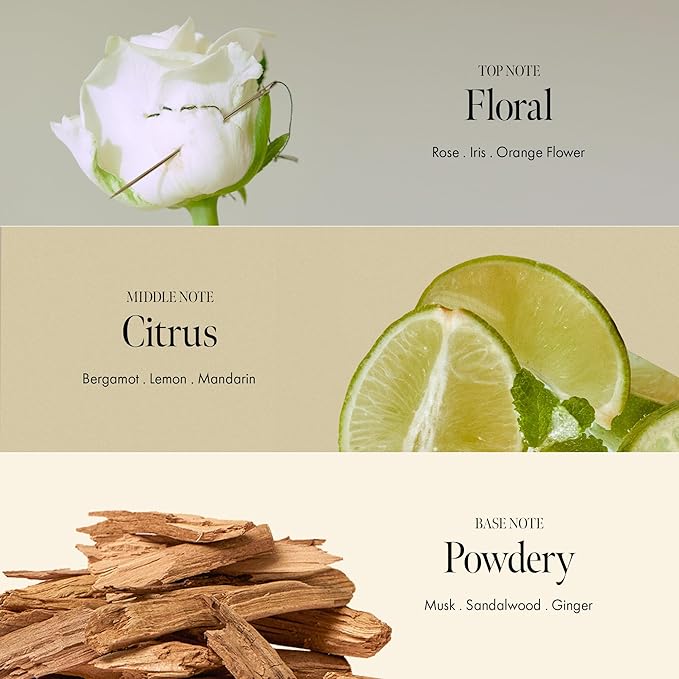 Rosy Night Repair Shampoo – Anti-Dandruff & Damage Repair with Damask Rose Water & Ceramide – Color Safe, Silicone & Sulfate Free (15.22 fl. Oz)