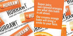 Hurraw! Lemon, Orange, Lime Lip Balms, Palm