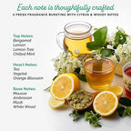 Sophie la girafe My Petite Cologne | Fresh, Juicy & Woody Scent (50 ml or 1.7 fl oz)