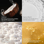 Each & Every Aluminum Free Deodorant for Women & Men, Citrus & Vetiver - All Natural Deodorant for Sensitive Skin, EWG Verified - Clean, Baking Soda-Free, Plant-Based Fragrance - 2.5oz, 2 Pack