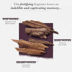 SOLINOTES Oudwood Perfume for Men - Eau De Parfum | Enchanting Woody and Musky Scent - Made in France - Vegan - 1.7 fl.oz