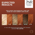 L’Oreal Paris Excellence Universal Nudes Permanent Hair Color, Ammonia Free Hair Dye for Gray Hair Coverage, 7NR Natural Copper, 1 Hair Dye Kit