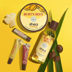 Burt's Bees Lip Balm Mothers Day Gifts for Mom - Shea and Aloe Lip Moisturizer With Responsibly Sourced Beeswax, Tint-Free, Natural Origin Conditioning Lip Treatment, 4 Tubes, 0.15 oz.