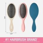 Conair Detangling hairbrush 3PK - wet or dry hair - ideal for curly or straight styles - detangler hair brush - hairbrushes for women - Beige, Navy, Coral