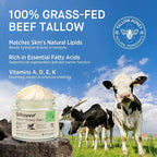 Beef Tallow Honey Balm for Skin: 100% Grass Fed Whipped Organic Moisturizer with Organic Raw Honey, Jojoba Oil, Vitamin E – Natural Face and Body Care for Mature, Dry or Sensitive Skin, 2oz