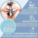 Bay Rum Shampoo Bar – Vegan, Sulfate-Free, Made in USA | 3-in-1 Men’s Shampoo, Conditioner & Body Wash | Ideal for All Hair Types | 60+ Washes, Travel-Friendly